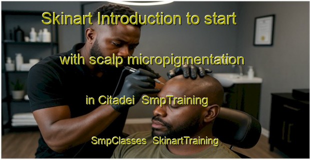 Skinart Introduction to start with scalp micropigmentation in Citadei | SmpTraining | SmpClasses | SkinartTraining-Philippines