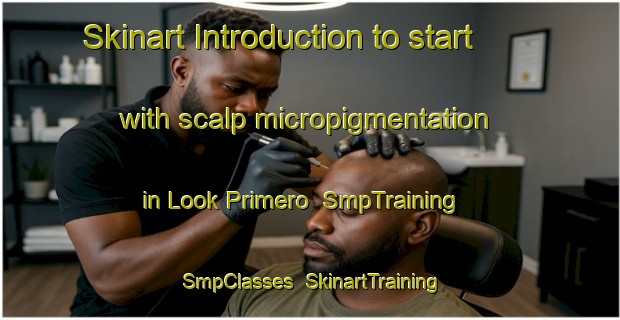 Skinart Introduction to start with scalp micropigmentation in Look Primero | SmpTraining | SmpClasses | SkinartTraining-Philippines