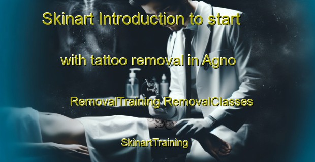 Skinart Introduction to start with tattoo removal in Agno | #RemovalTraining #RemovalClasses #SkinartTraining-Philippines