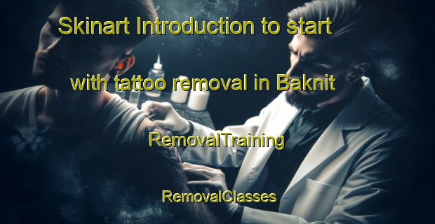 Skinart Introduction to start with tattoo removal in Baknit | RemovalTraining | RemovalClasses | SkinartTraining-Philippines