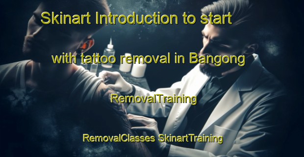 Skinart Introduction to start with tattoo removal in Bangong | #RemovalTraining #RemovalClasses #SkinartTraining-Philippines