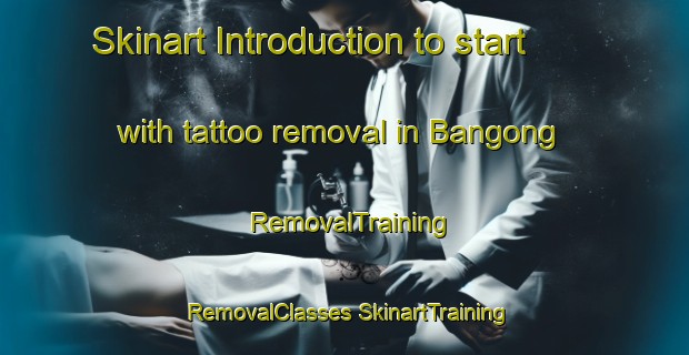 Skinart Introduction to start with tattoo removal in Bangong | #RemovalTraining #RemovalClasses #SkinartTraining-Philippines