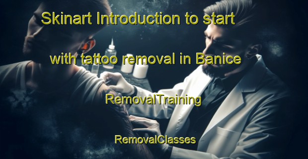 Skinart Introduction to start with tattoo removal in Banice | RemovalTraining | RemovalClasses | SkinartTraining-Philippines