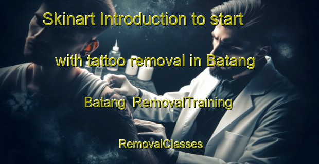 Skinart Introduction to start with tattoo removal in Batang Batang | RemovalTraining | RemovalClasses | SkinartTraining-Philippines