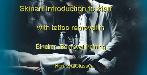 Skinart Introduction to start with tattoo removal in Binaliar | RemovalTraining | RemovalClasses | SkinartTraining-Philippines