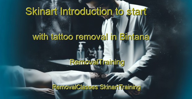 Skinart Introduction to start with tattoo removal in Bintana | #RemovalTraining #RemovalClasses #SkinartTraining-Philippines