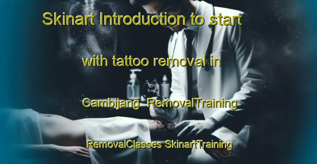 Skinart Introduction to start with tattoo removal in Cambijang | #RemovalTraining #RemovalClasses #SkinartTraining-Philippines