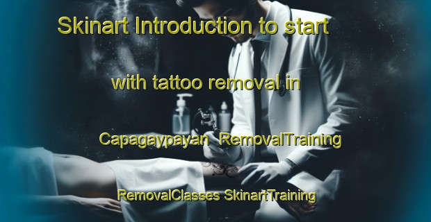 Skinart Introduction to start with tattoo removal in Capagaypayan | #RemovalTraining #RemovalClasses #SkinartTraining-Philippines