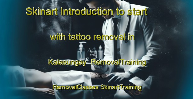 Skinart Introduction to start with tattoo removal in Kalasungay | #RemovalTraining #RemovalClasses #SkinartTraining-Philippines