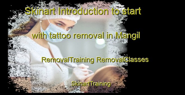 Skinart Introduction to start with tattoo removal in Mangil | #RemovalTraining #RemovalClasses #SkinartTraining-Philippines