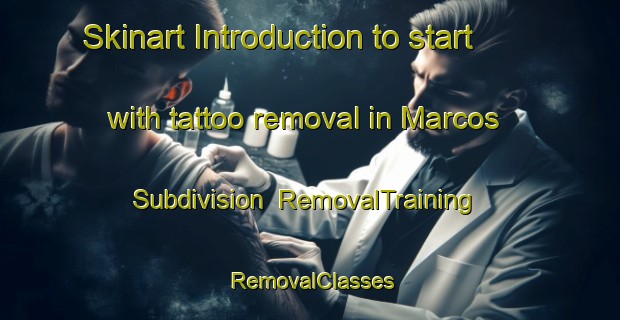 Skinart Introduction to start with tattoo removal in Marcos Subdivision | RemovalTraining | RemovalClasses | SkinartTraining-Philippines