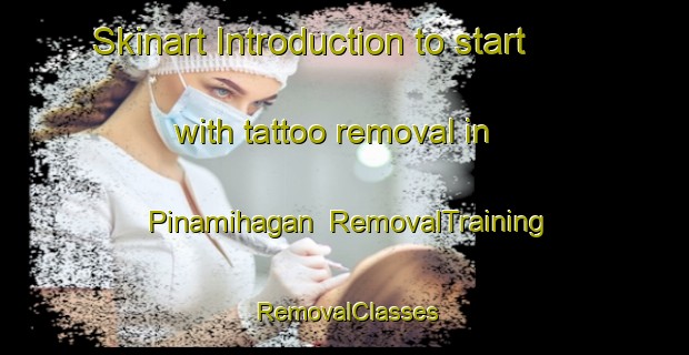 Skinart Introduction to start with tattoo removal in Pinamihagan | RemovalTraining | RemovalClasses | SkinartTraining-Philippines
