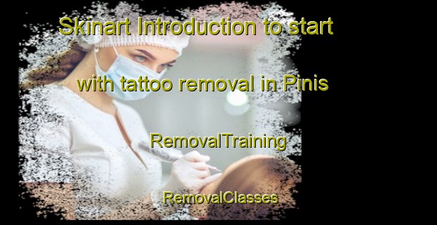 Skinart Introduction to start with tattoo removal in Pinis | RemovalTraining | RemovalClasses | SkinartTraining-Philippines