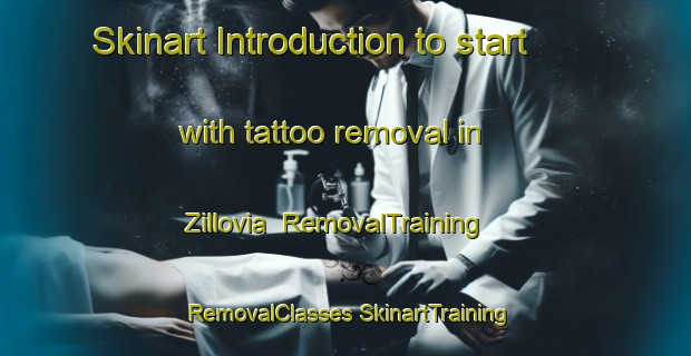 Skinart Introduction to start with tattoo removal in Zillovia | #RemovalTraining #RemovalClasses #SkinartTraining-Philippines