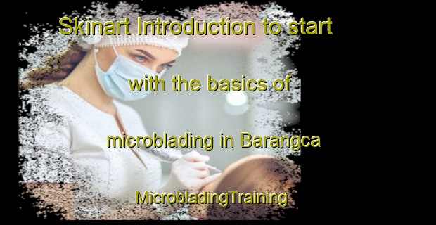Skinart Introduction to start with the basics of microblading in Barangca | MicrobladingTraining | MicrobladingClasses | SkinartTraining-Philippines
