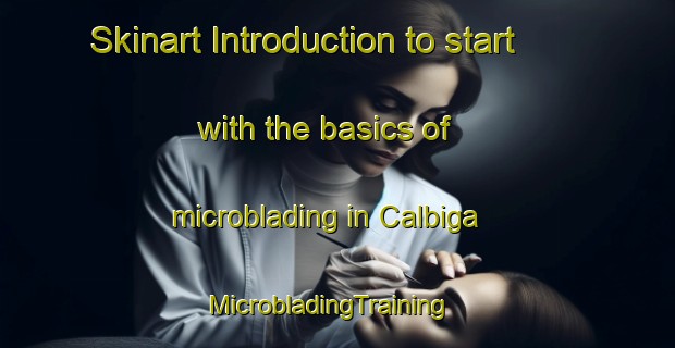 Skinart Introduction to start with the basics of microblading in Calbiga | MicrobladingTraining | MicrobladingClasses | SkinartTraining-Philippines