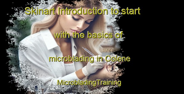 Skinart Introduction to start with the basics of microblading in Colene | MicrobladingTraining | MicrobladingClasses | SkinartTraining-Philippines