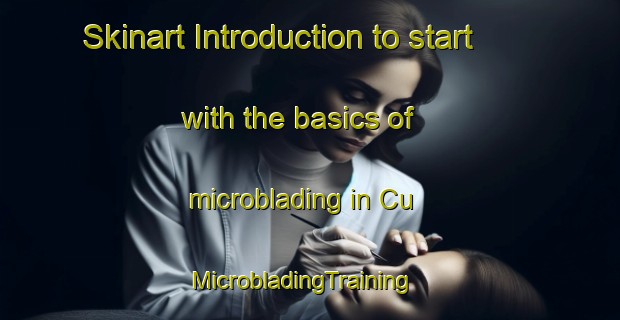 Skinart Introduction to start with the basics of microblading in Cu | MicrobladingTraining | MicrobladingClasses | SkinartTraining-Philippines