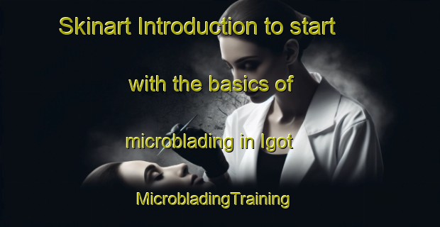 Skinart Introduction to start with the basics of microblading in Igot | MicrobladingTraining | MicrobladingClasses | SkinartTraining-Philippines