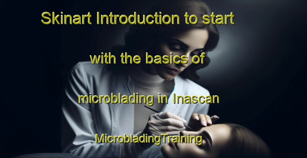 Skinart Introduction to start with the basics of microblading in Inascan | MicrobladingTraining | MicrobladingClasses | SkinartTraining-Philippines