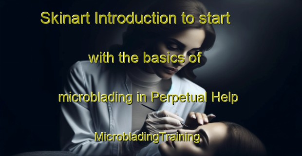 Skinart Introduction to start with the basics of microblading in Perpetual Help | MicrobladingTraining | MicrobladingClasses | SkinartTraining-Philippines