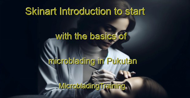 Skinart Introduction to start with the basics of microblading in Pukutan | MicrobladingTraining | MicrobladingClasses | SkinartTraining-Philippines