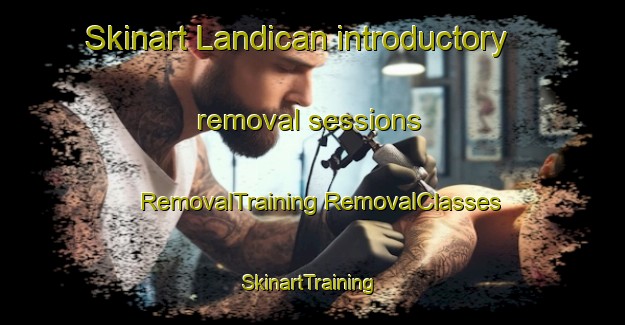 Skinart Landican introductory removal sessions | #RemovalTraining #RemovalClasses #SkinartTraining-Philippines