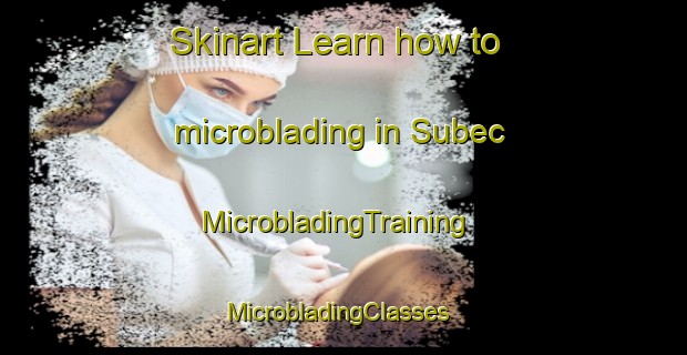 Skinart Learn how to microblading in Subec | MicrobladingTraining | MicrobladingClasses | SkinartTraining-Philippines