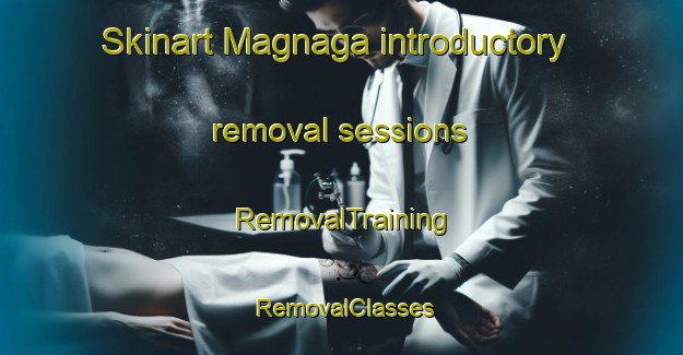 Skinart Magnaga introductory removal sessions | RemovalTraining | RemovalClasses | SkinartTraining-Philippines