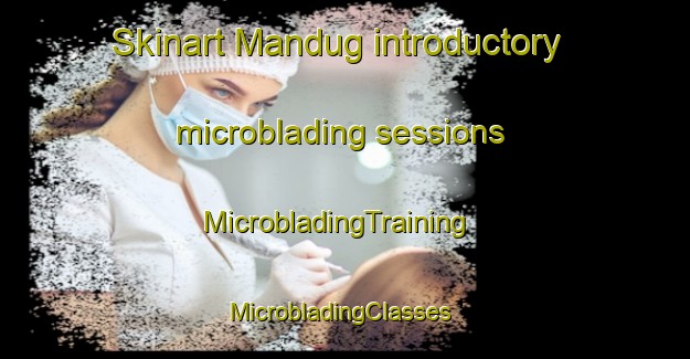 Skinart Mandug introductory microblading sessions | MicrobladingTraining | MicrobladingClasses | SkinartTraining-Philippines