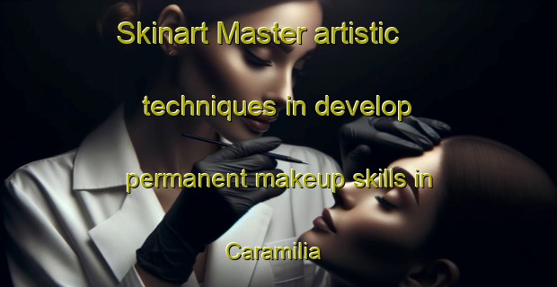 Skinart Master artistic techniques in develop permanent makeup skills in Caramilia | PermanentmakeupTraining | PermanentmakeupClasses | SkinartTraining-Philippines
