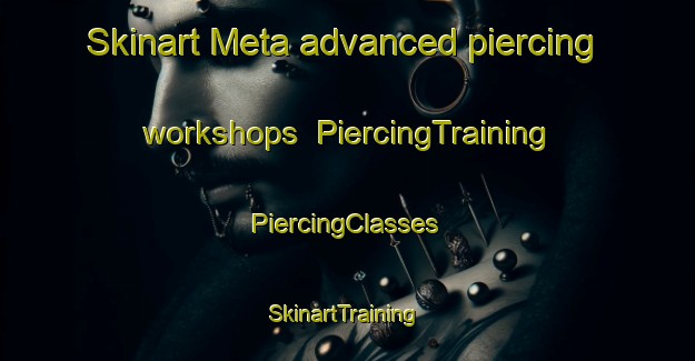 Skinart Meta advanced piercing workshops | #PiercingTraining #PiercingClasses #SkinartTraining-Philippines