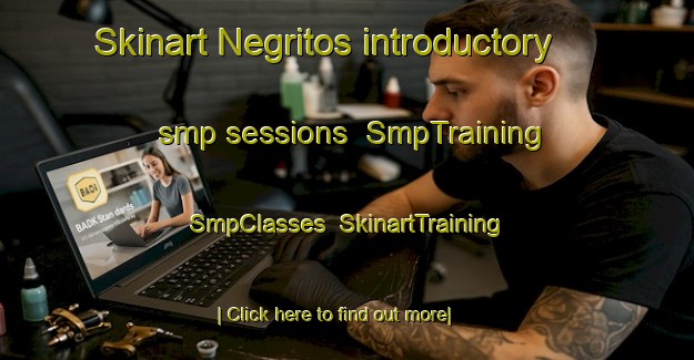 Skinart Negritos introductory smp sessions | SmpTraining | SmpClasses | SkinartTraining-Philippines