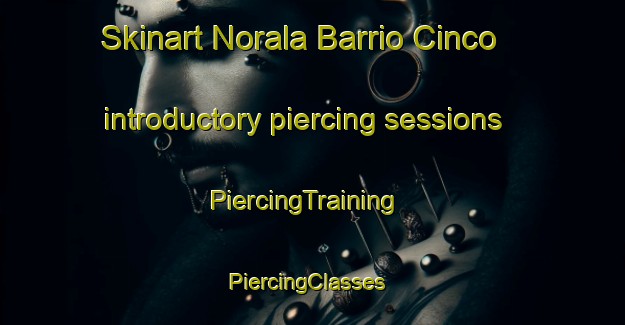 Skinart Norala Barrio Cinco introductory piercing sessions | PiercingTraining | PiercingClasses | SkinartTraining-Philippines
