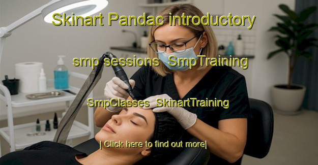 Skinart Pandac introductory smp sessions | SmpTraining | SmpClasses | SkinartTraining-Philippines