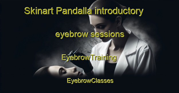 Skinart Pandalla introductory eyebrow sessions | EyebrowTraining | EyebrowClasses | SkinartTraining-Philippines