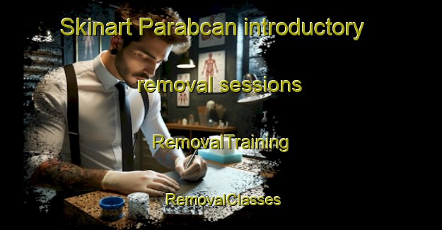 Skinart Parabcan introductory removal sessions | RemovalTraining | RemovalClasses | SkinartTraining-Philippines