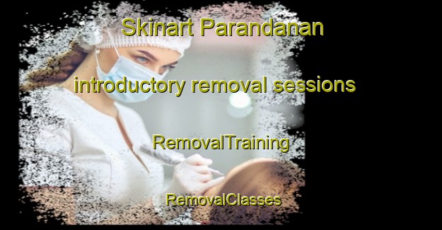 Skinart Parandanan introductory removal sessions | RemovalTraining | RemovalClasses | SkinartTraining-Philippines
