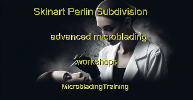 Skinart Perlin Subdivision advanced microblading workshops | #MicrobladingTraining #MicrobladingClasses #SkinartTraining-Philippines