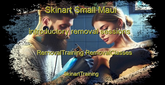 Skinart Small Maui introductory removal sessions | #RemovalTraining #RemovalClasses #SkinartTraining-Philippines