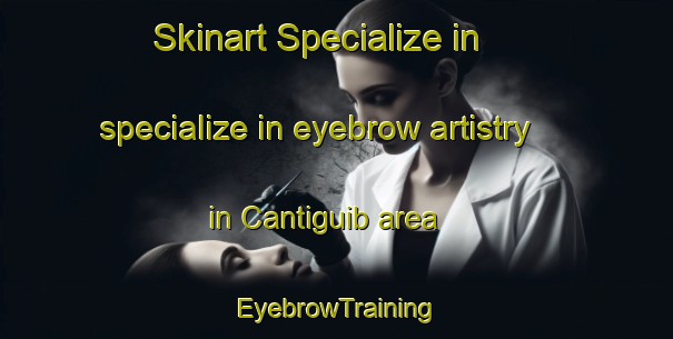 Skinart Specialize in specialize in eyebrow artistry in Cantiguib area | EyebrowTraining | EyebrowClasses | SkinartTraining-Philippines