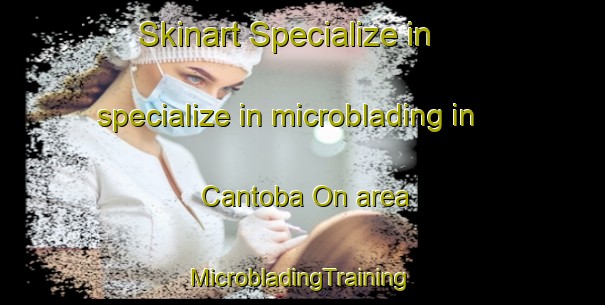 Skinart Specialize in specialize in microblading in Cantoba On area | #MicrobladingTraining #MicrobladingClasses #SkinartTraining-Philippines