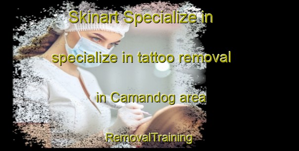 Skinart Specialize in specialize in tattoo removal in Camandog area | RemovalTraining | RemovalClasses | SkinartTraining-Philippines