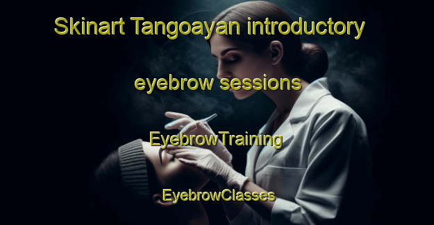Skinart Tangoayan introductory eyebrow sessions | EyebrowTraining | EyebrowClasses | SkinartTraining-Philippines