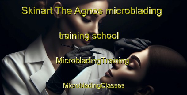 Skinart The Agnos microblading training school | #MicrobladingTraining #MicrobladingClasses #SkinartTraining-Philippines