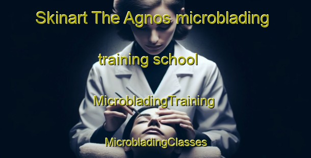 Skinart The Agnos microblading training school | #MicrobladingTraining #MicrobladingClasses #SkinartTraining-Philippines