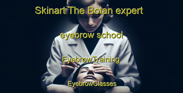 Skinart The Botan expert eyebrow school | EyebrowTraining | EyebrowClasses | SkinartTraining-Philippines