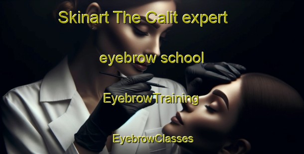 Skinart The Calit expert eyebrow school | EyebrowTraining | EyebrowClasses | SkinartTraining-Philippines