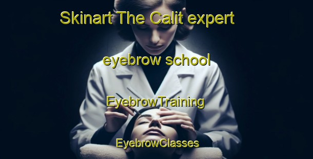 Skinart The Calit expert eyebrow school | EyebrowTraining | EyebrowClasses | SkinartTraining-Philippines