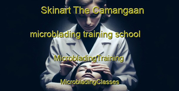 Skinart The Camangaan microblading training school | #MicrobladingTraining #MicrobladingClasses #SkinartTraining-Philippines